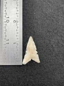 Cahokia Indian Artifact Arrowhead