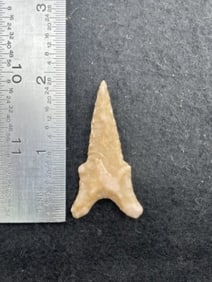 Dalton Indian Artifact Arrowhead