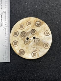 Engraved Shell Gorget Indian Artifact Arrowhead