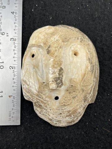 Shell Engraved Mask Indian Artifact Arrowhead (1 of 4)