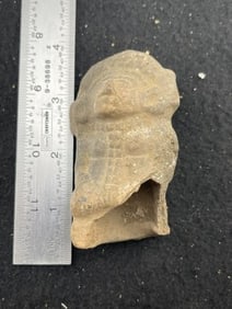 Pre-Columbian Pottery Vessel Indian Artifact Arrowhead