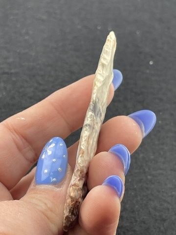 Evans Point Indian Artifact Arrowhead - 4