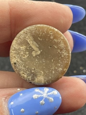 Cone Indian Artifact Arrowhead - 4