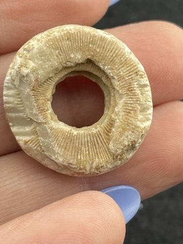 Shell Bead Indian Artifact Arrowhead - 2