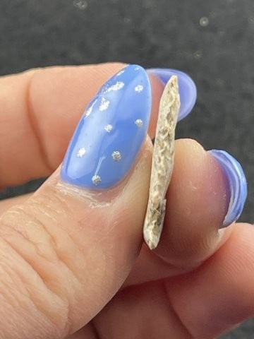 Arrow Point Indian Artifact Arrowhead - 4