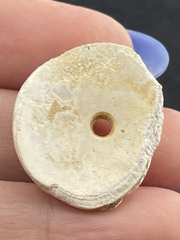 Shell Bead Indian Artifact Arrowhead - 2