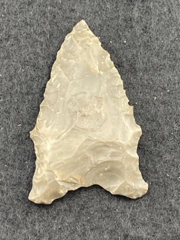 Dalton Indian Artifact Arrowhead - 2