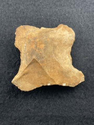 Chipped Celt Indian Artifact Arrowhead - 2