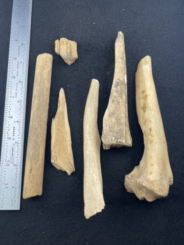 Group of Bone Tools Indian Artifact Arrowhead (1 of 3)