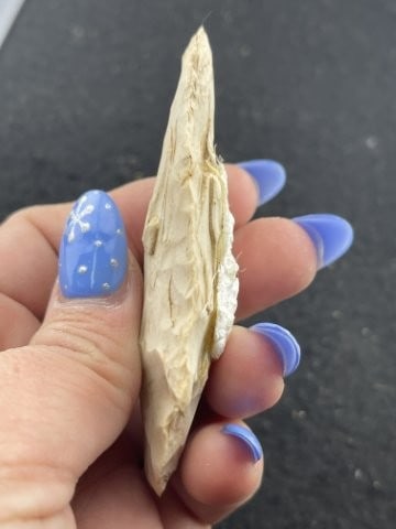 Gary Point Indian Artifact Arrowhead - 4