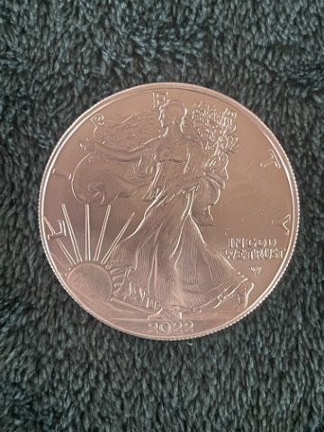 2022 Silver Eagle Coin: KEY WORDS: INDIAN ARTIFACT ARTIFACTS ARROWHEAD ARROWHEADS NATIVE AMERICAN MISSISSIPPIAN QUAPAW CADDO POTTERY COINS MORGAN DOLLAR PEACE DOLLAR SILVER COINS. All coins have been Sigma tested for