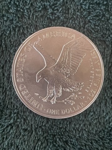 2022 Silver Eagle Coin - 2