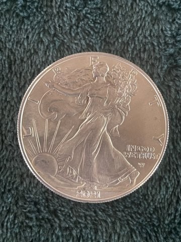 2021 Silver Eagle Coin (1 of 2)