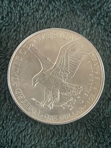 2021 Silver Eagle Coin - 2