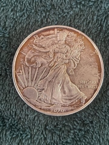 2020 Silver Eagle Coin (1 of 2)