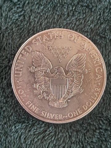 2020 Silver Eagle Coin - 2