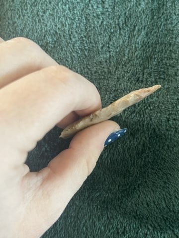 Texas Point Indian Artifact Arrowhead - 3