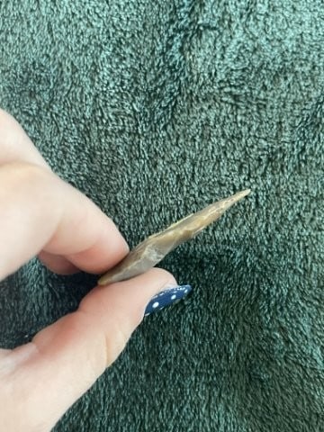 Texas Point Indian Artifact Arrowhead - 3