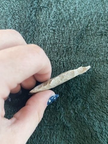 Texas Point Indian Artifact Arrowhead - 3