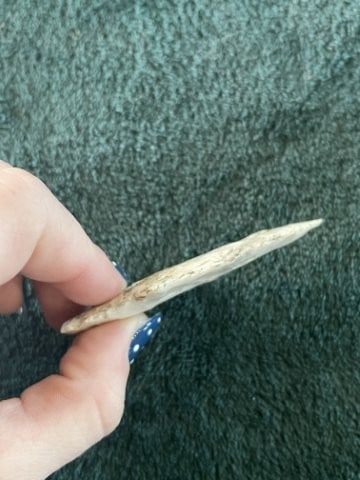 Texas Point Indian Artifact Arrowhead - 3