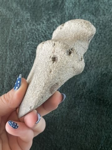 Grooved Axe Indian Artifact Arrowhead - 4