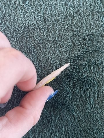 Texas Point Indian Artifact Arrowhead - 3