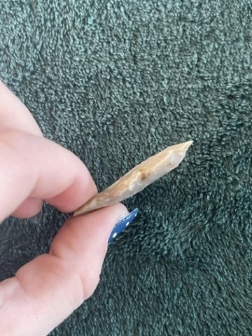 Texas Point Indian Artifact Arrowhead - 3