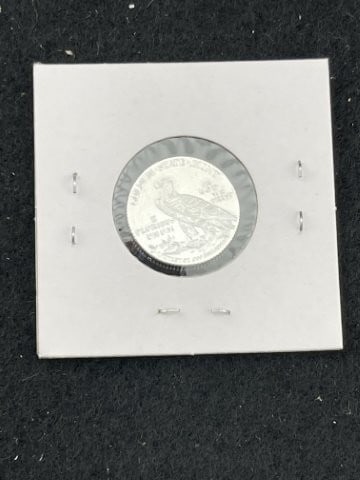 1/10th Fine Silver Coin - 2
