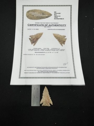 Horse Creek Pine Tree with Insight COA from Madison County, Tennessee ex - Carl McCondy Collection (1 of 6)