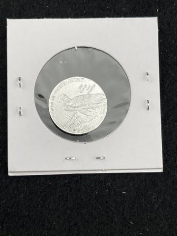 1/10th Fine Silver Coin - 2