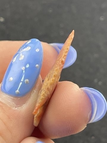 Bird Point Indian Artifact Arrowhead - 4