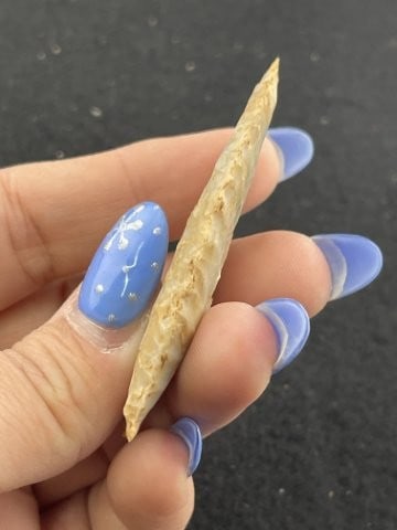 Folsom Indian Artifact Arrowhead - 4