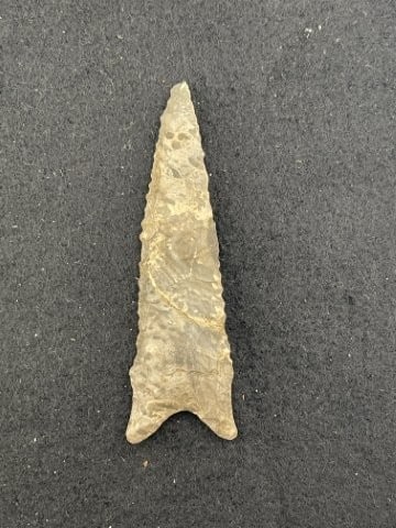 Dalton Indian Artifact Arrowhead - 2