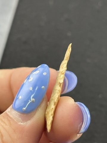 Arrow Point Indian Artifact Arrowhead - 4