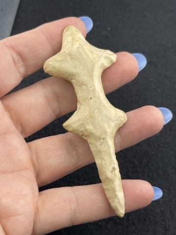 Lizard Effigy Indian Artifact Arrowhead - 3