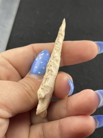 Pine Tree Indian Artifact Arrowhead - 4