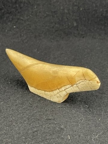 Unusual Quartz Birdstone Indian Artifact Arrowhead: KEY WORDS: INDIAN ARTIFACT ARTIFACTS ARROWHEAD ARROWHEADS NATIVE AMERICAN MISSISSIPPIAN QUAPAW CADDO POTTERY COINS MORGAN DOLLAR PEACE DOLLAR SILVER COINS. All coins have been Sigma tested for