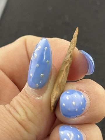 Texas Arrow Point Indian Artifact Arrowhead - 4