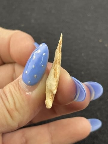 Arrow Point Indian Artifact Arrowhead - 4