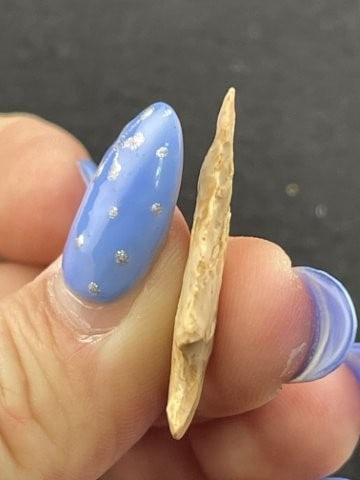 Arrow Point Indian Artifact Arrowhead - 4