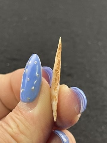 Arrow Point Indian Artifact Arrowhead - 4