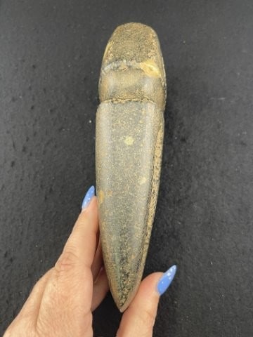 Fluted Grooved Axe Indian Artifact Arrowhead - 4