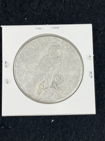 1925 Peace Silver Dollar Coin - 2