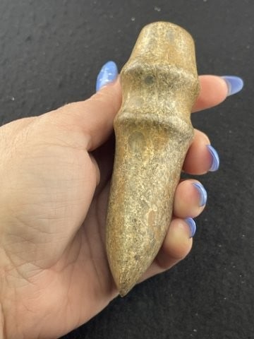 Grooved Axe Indian Artifact Arrowhead - 5