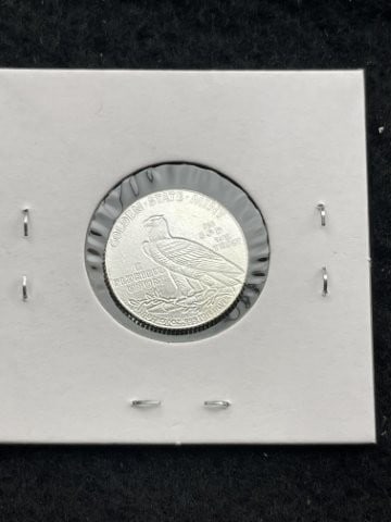 1/10th Fine Silver Coin - 2