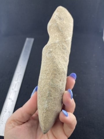 Grooved Axe Indian Artifact Arrowhead - 4