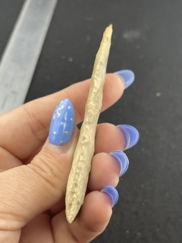 Clovis Indian Artifact Arrowhead - 4