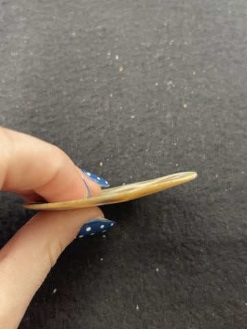 Engraved Shell Gorget Indian Artifact Arrowhead - 3