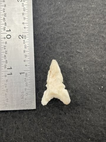 Texas Toyah/Washita Indian Artifact Arrowhead: KEY WORDS: INDIAN ARTIFACT ARTIFACTS ARROWHEAD ARROWHEADS NATIVE AMERICAN MISSISSIPPIAN QUAPAW CADDO POTTERY COINS MORGAN DOLLAR PEACE DOLLAR SILVER COINS. All coins have been Sigma tested for authent