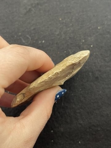 Notched Hoe Indian Artifact Arrowhead - 3